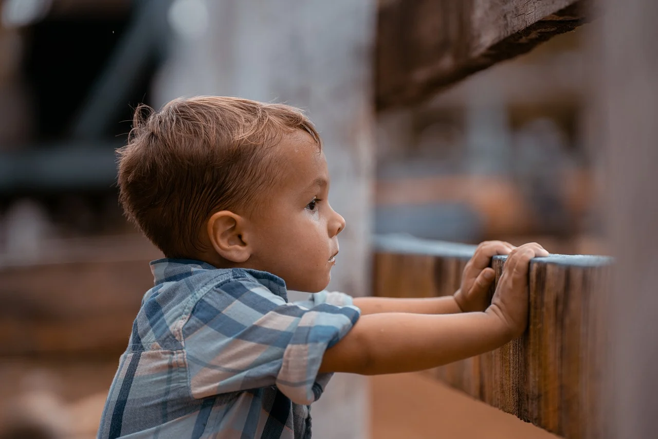 Child Development (Çocuk Gelişimi )